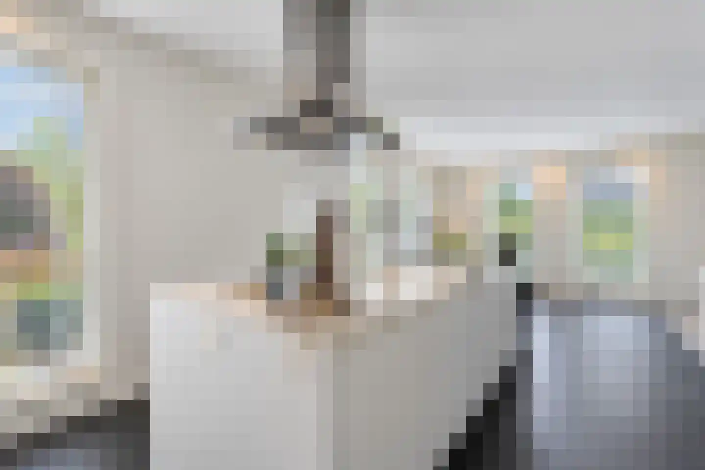 Molenhofje 1 Bergambacht thumbnail 23