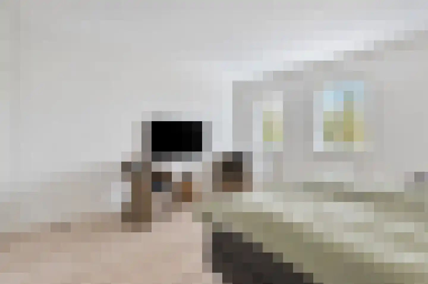Molenhofje 1 Bergambacht thumbnail 28