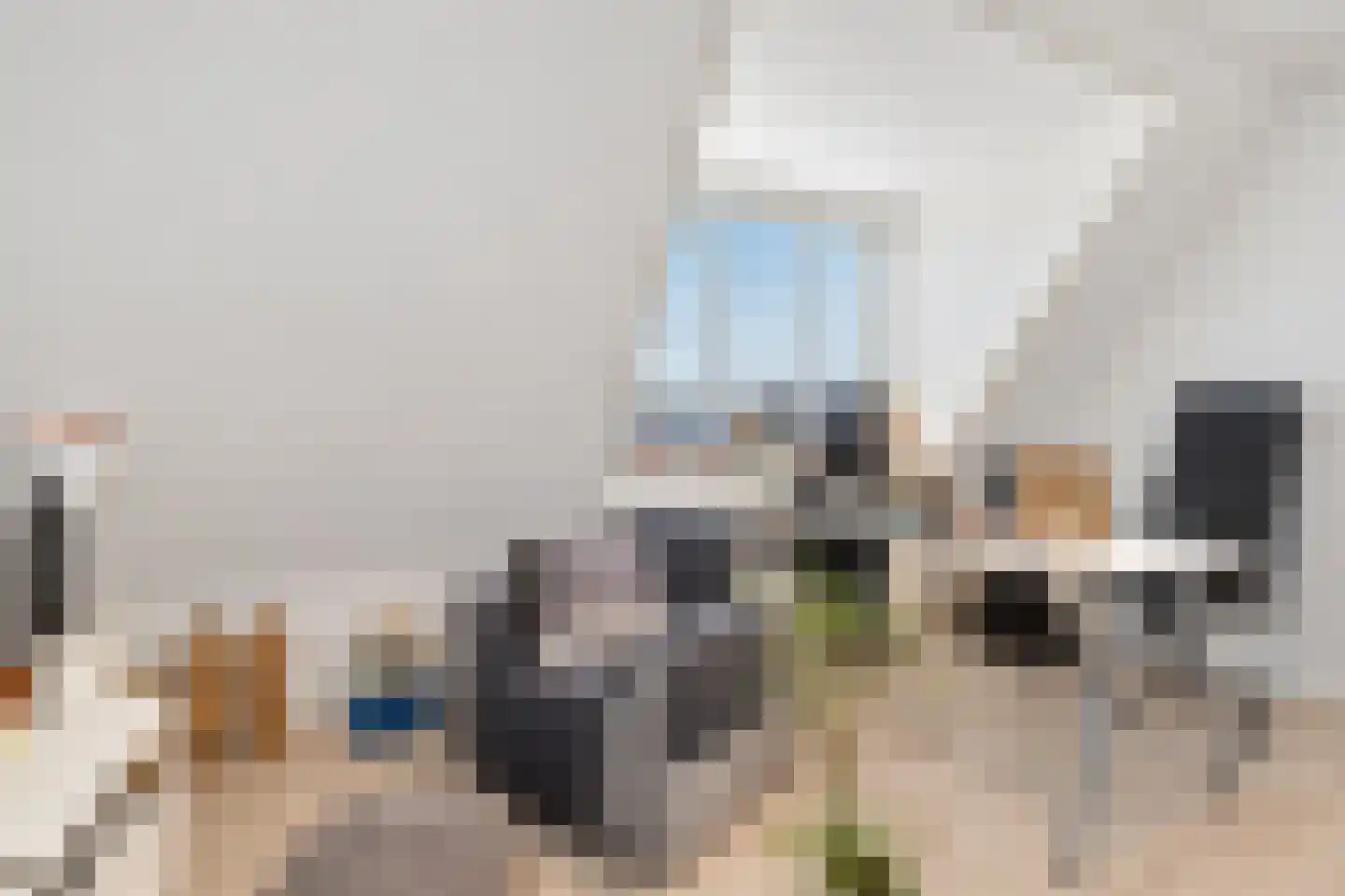 Molenhofje 1 Bergambacht thumbnail 33