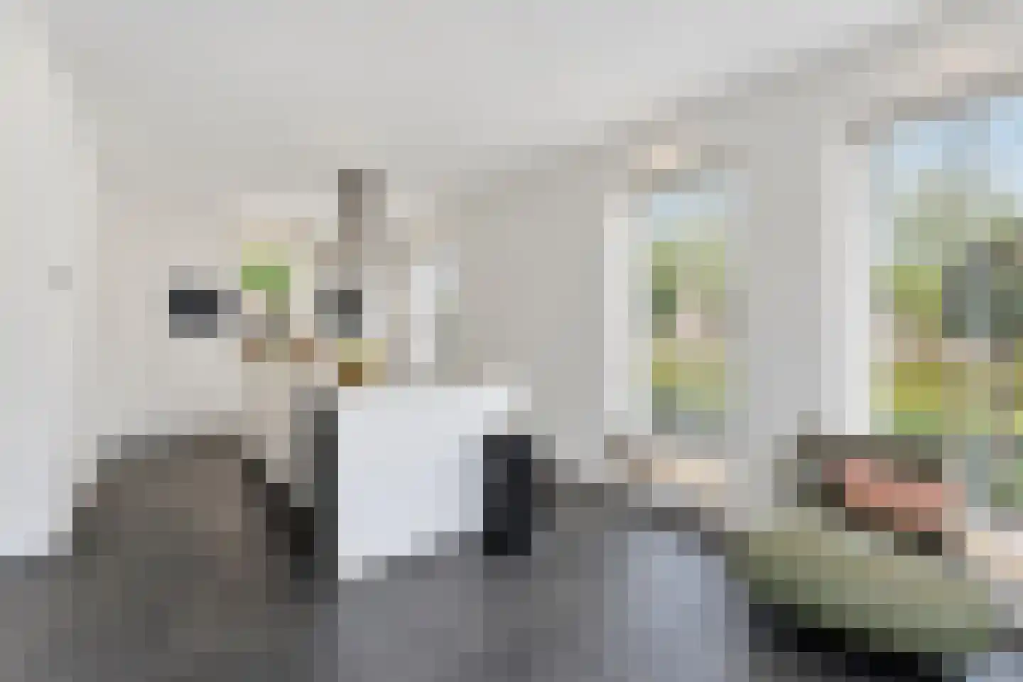Molenhofje 1 Bergambacht thumbnail 4