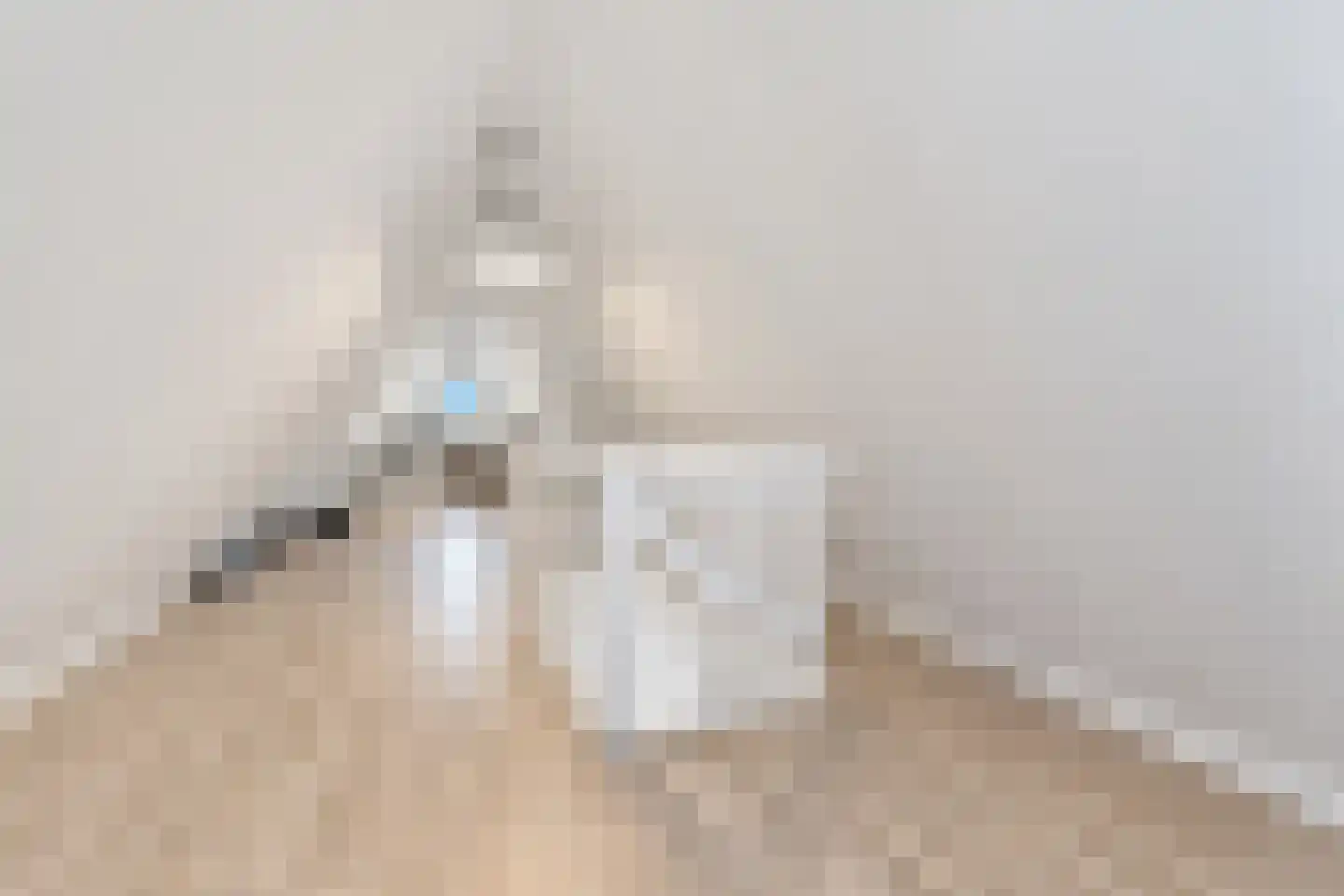 Molenhofje 1 Bergambacht thumbnail 42