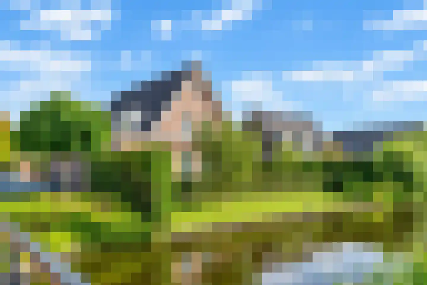 Molenhofje 1 Bergambacht thumbnail 44