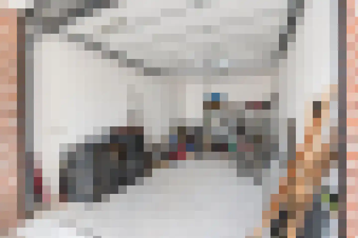 Molenhofje 1 Bergambacht thumbnail 47
