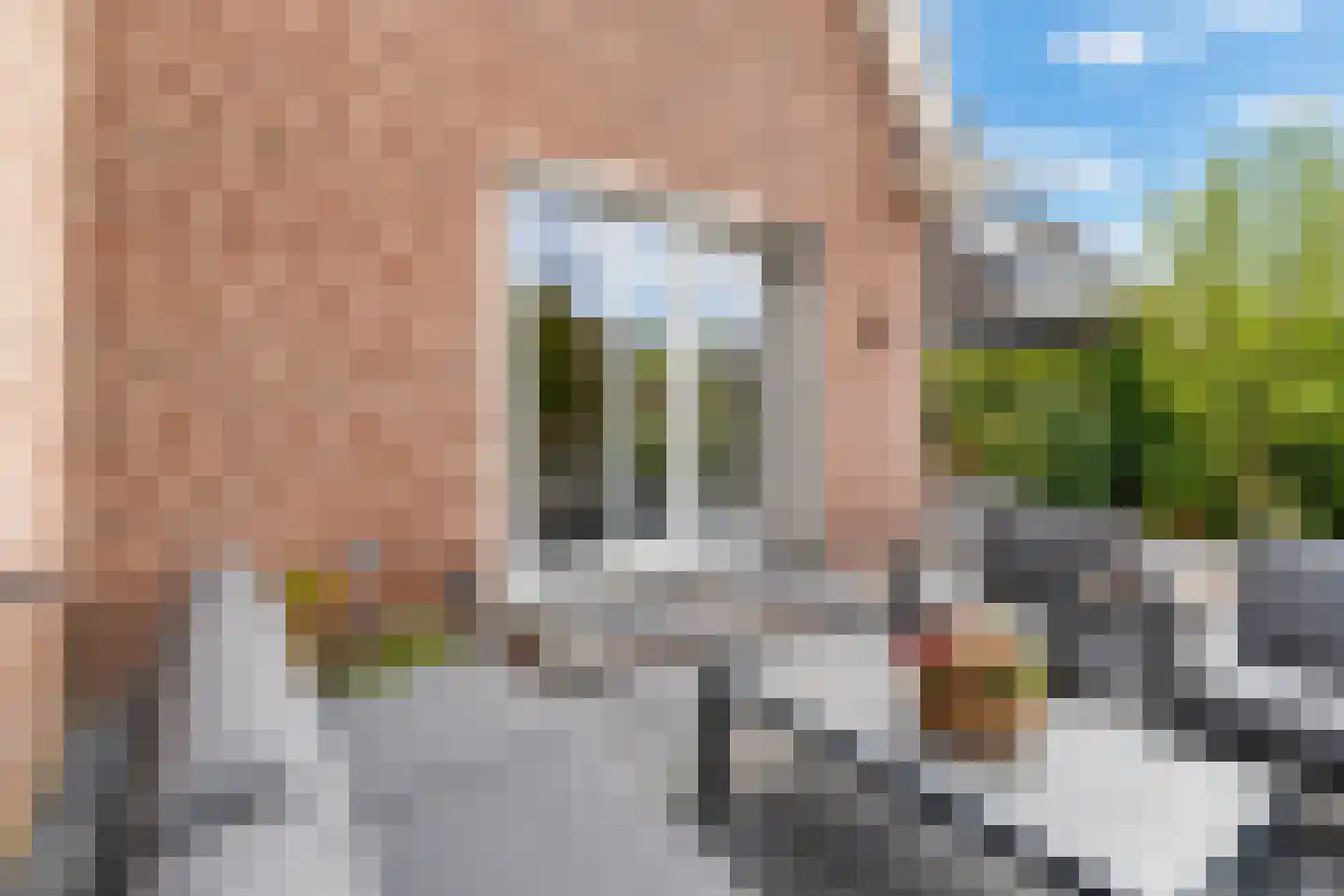 Molenhofje 1 Bergambacht thumbnail 53