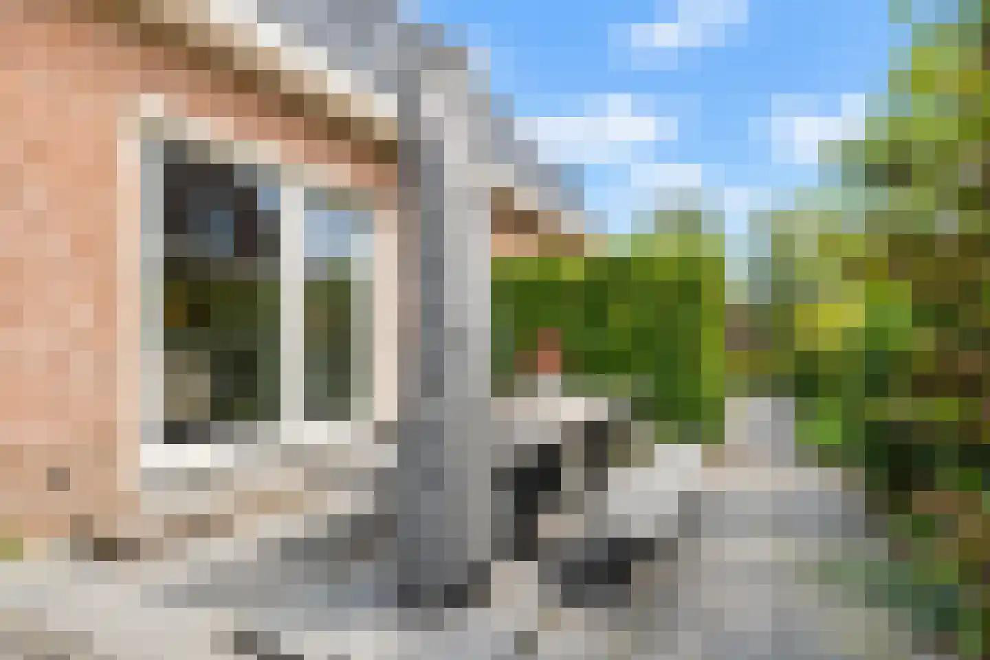 Molenhofje 1 Bergambacht thumbnail 54