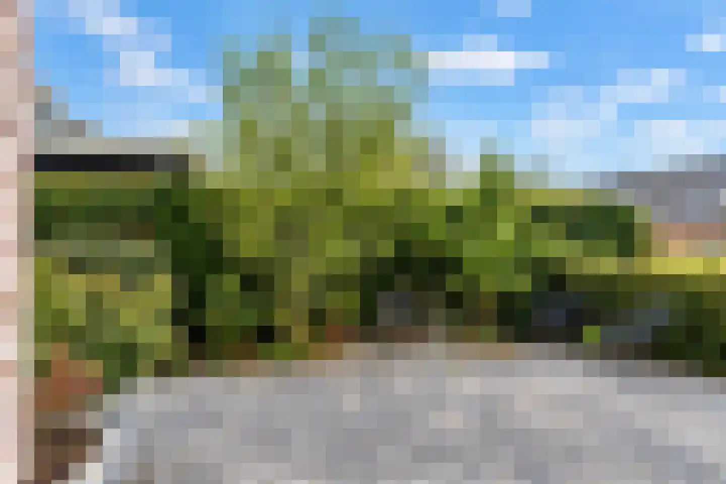 Molenhofje 1 Bergambacht thumbnail 56