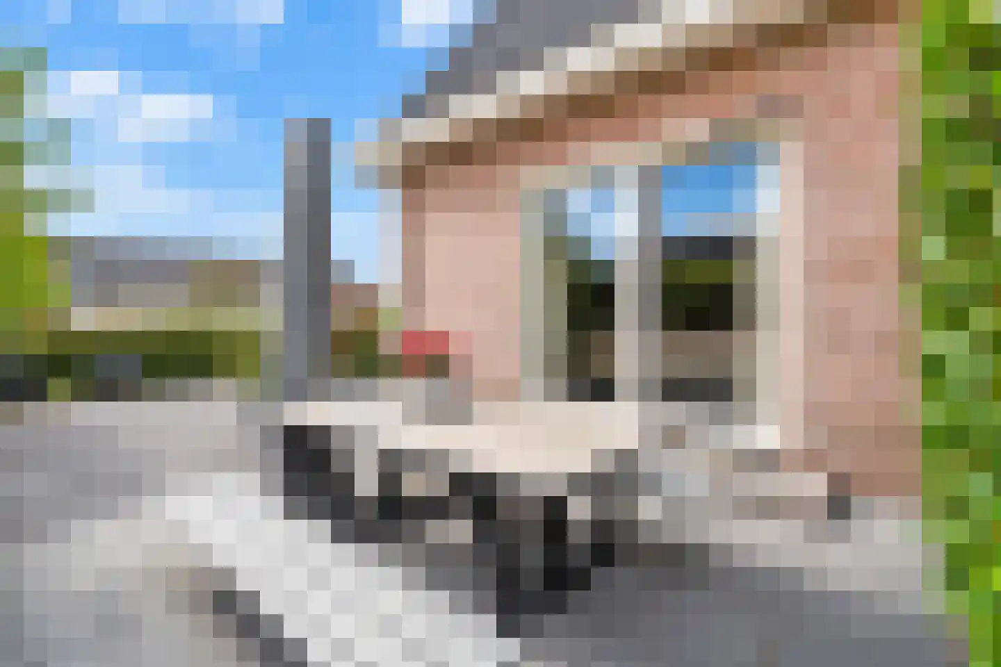 Molenhofje 1 Bergambacht thumbnail 57