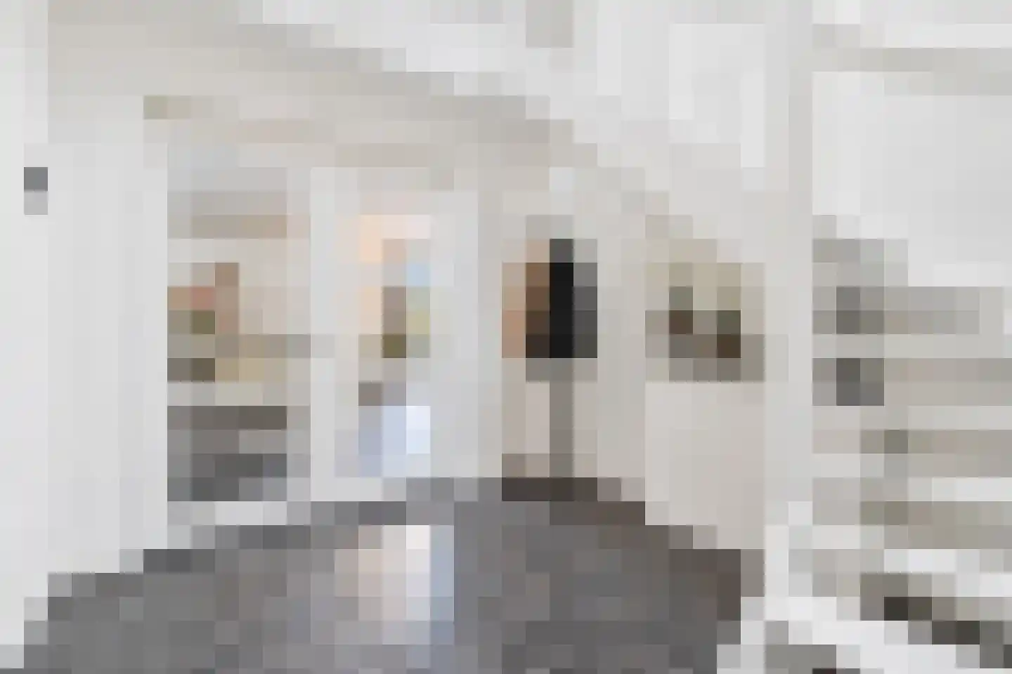 Molenhofje 1 Bergambacht thumbnail 7