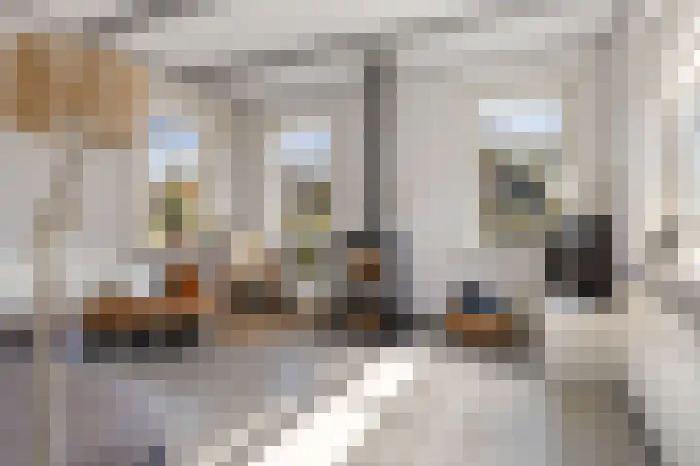 Molenkade 15 Nieuwolda thumbnail 12