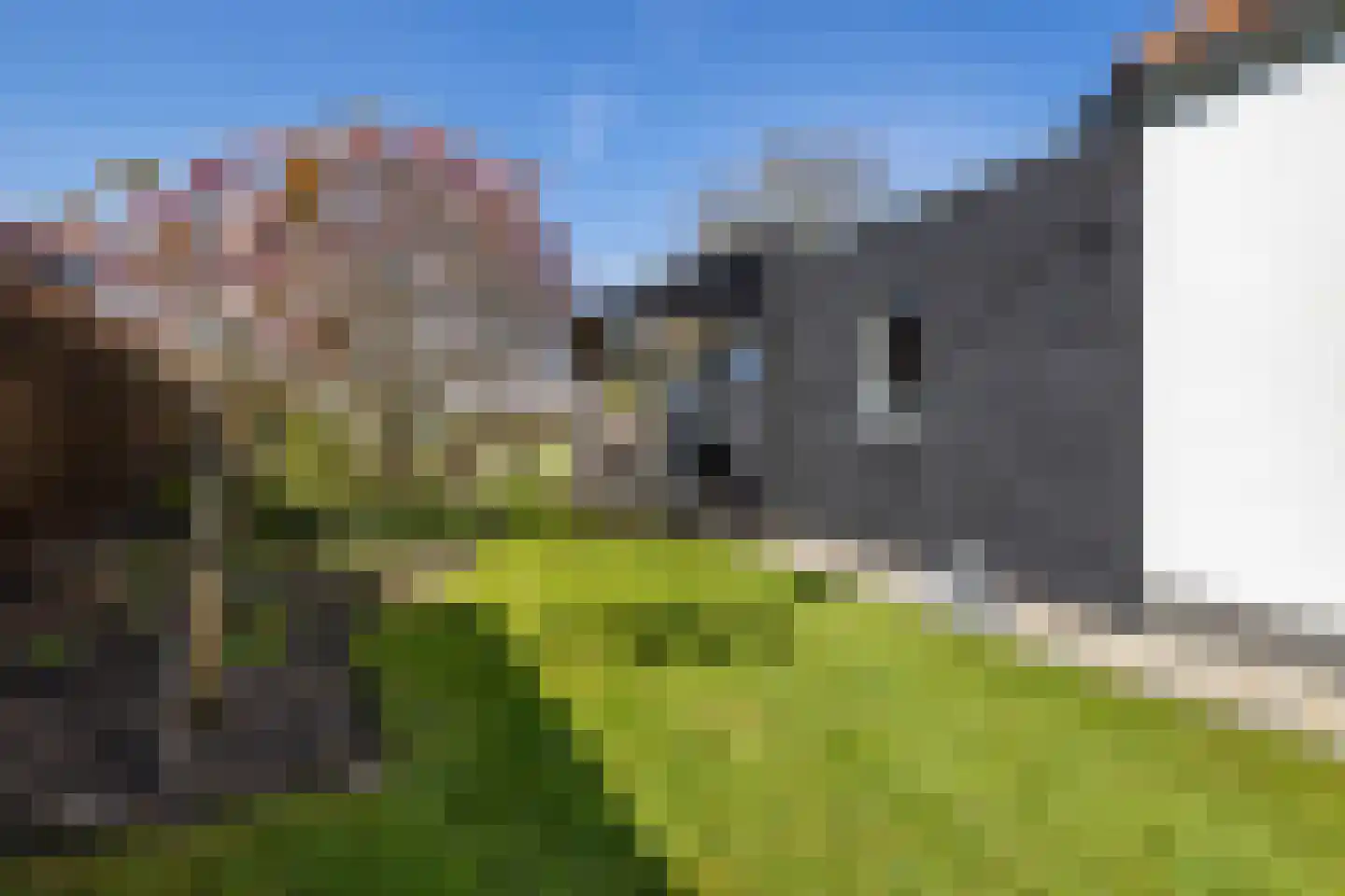 Molenkade 15 Nieuwolda thumbnail 33