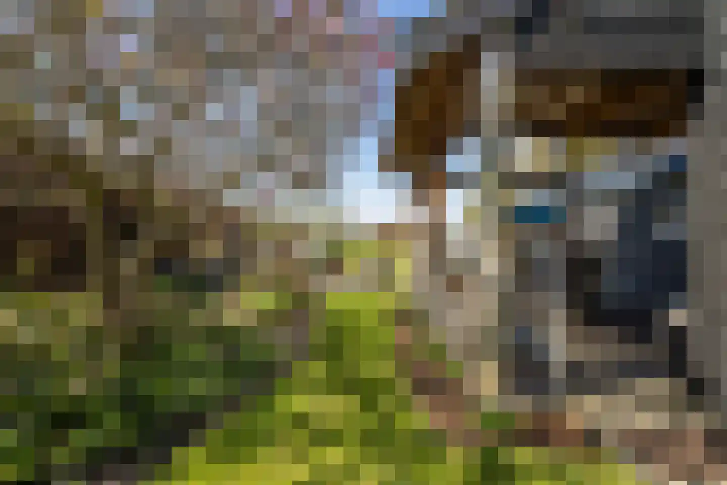 Molenkade 15 Nieuwolda thumbnail 34