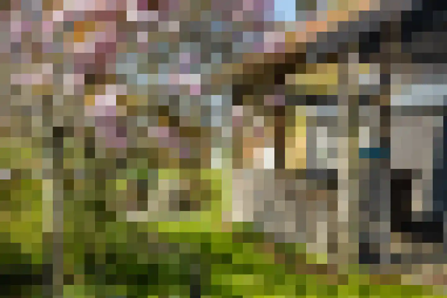 Molenkade 15 Nieuwolda thumbnail 38
