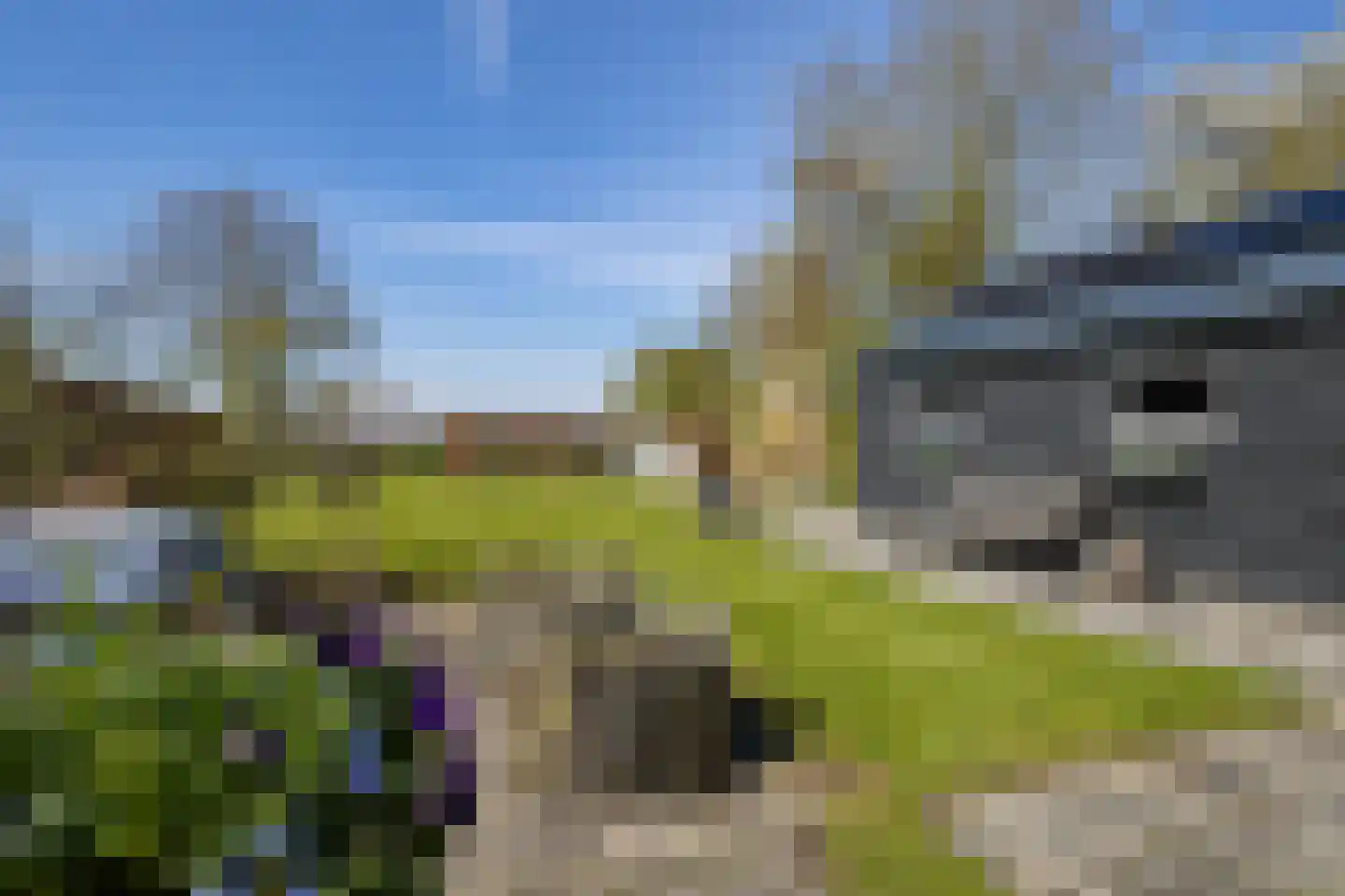 Molenkade 15 Nieuwolda thumbnail 41