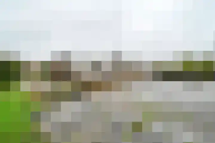 Molenkade 2 C Vinkeveen thumbnail 22