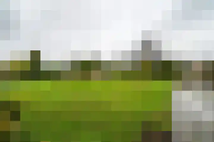 Molenkade 2 C Vinkeveen thumbnail 23
