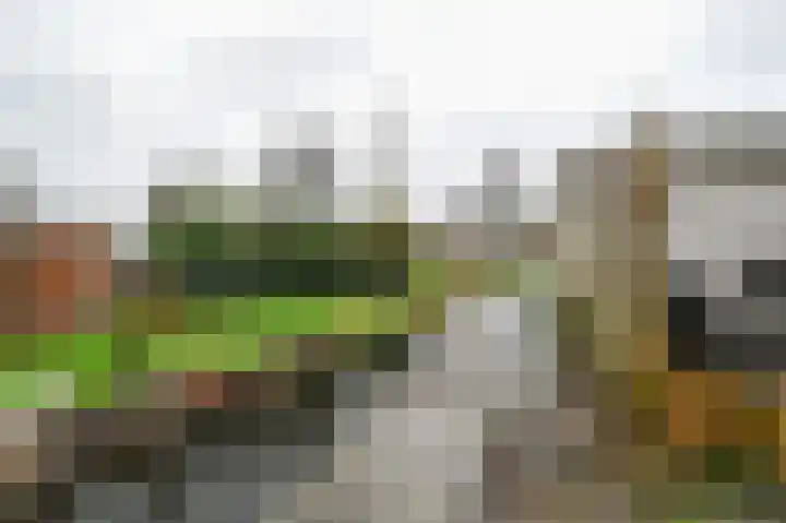 Molenkade 2 C Vinkeveen thumbnail 26