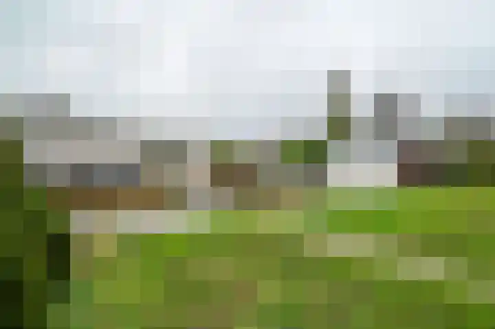 Molenkade 2 C Vinkeveen thumbnail 27