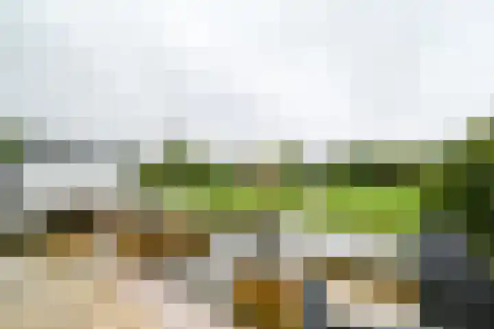 Molenkade 2 C Vinkeveen thumbnail 28