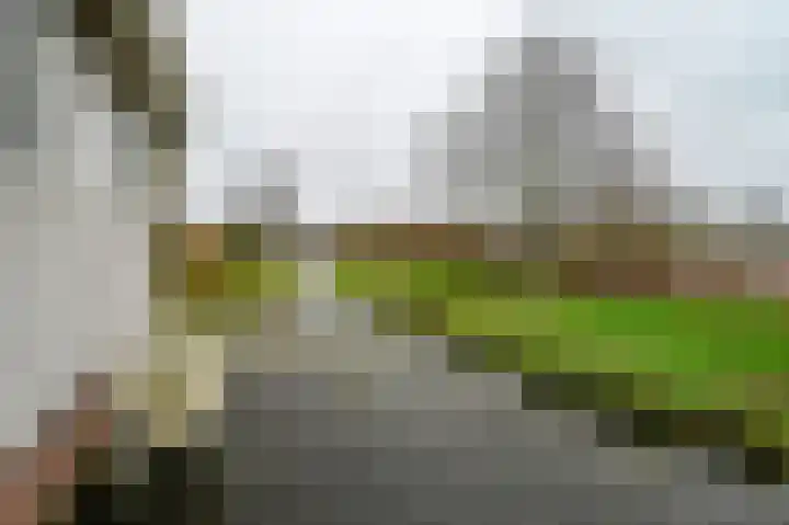 Molenkade 2 C Vinkeveen thumbnail 30