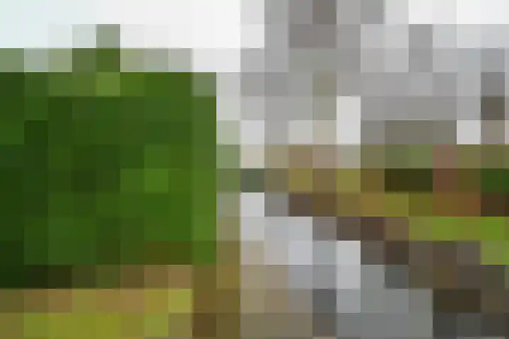 Molenkade 2 C Vinkeveen thumbnail 31