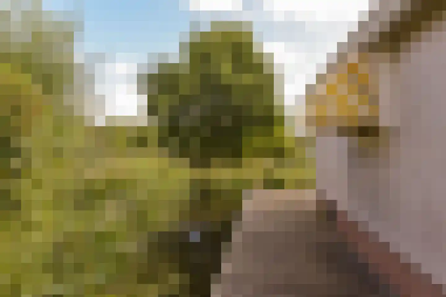 Molenkade 2 C Vinkeveen thumbnail 31