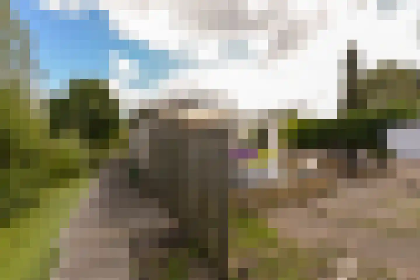 Molenkade 2 C Vinkeveen thumbnail 32