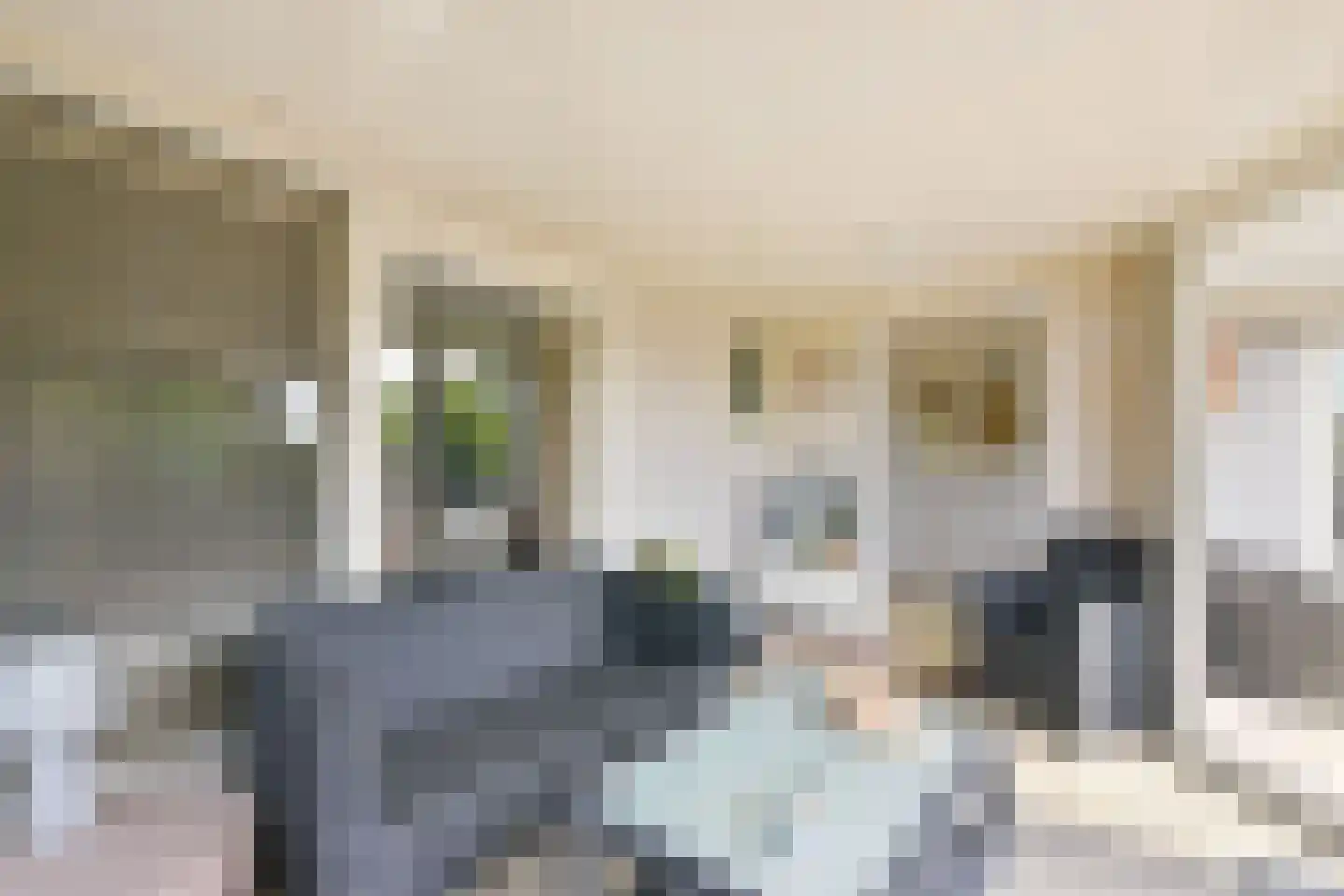 Molenkade 2 C Vinkeveen thumbnail 5