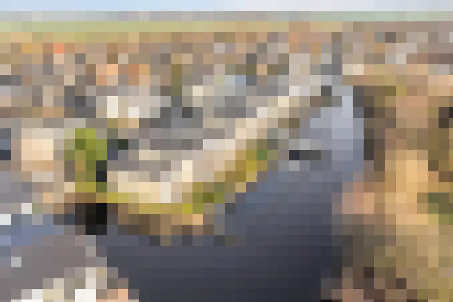Molenkade 20 R 4 Vinkeveen thumbnail 40