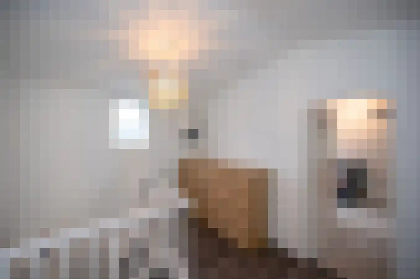 Molenkade 7 Bodegraven thumbnail 30