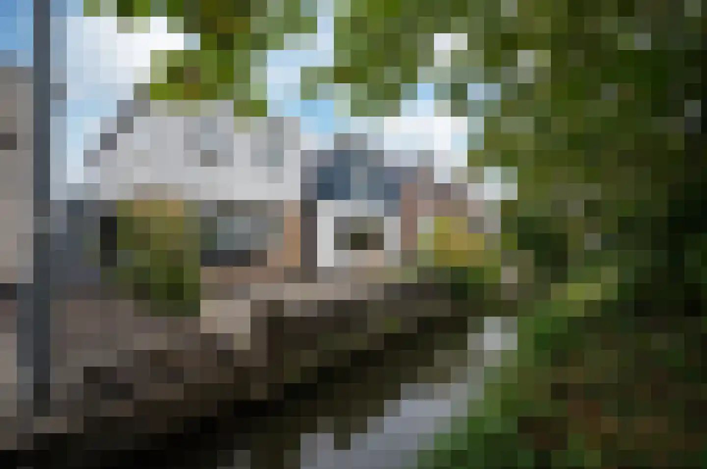 Molenkade 7 Bodegraven thumbnail 36