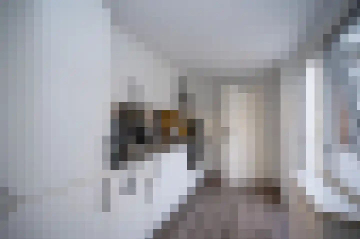 Molenkade 7 Bodegraven thumbnail 5