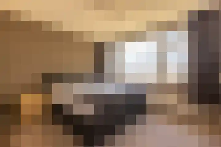 Molenkamp 102 Aalten thumbnail 11