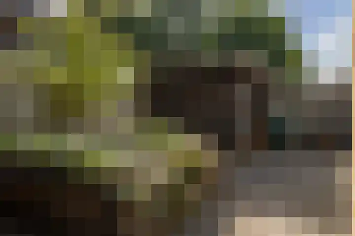 Molenkamp 102 Aalten thumbnail 22
