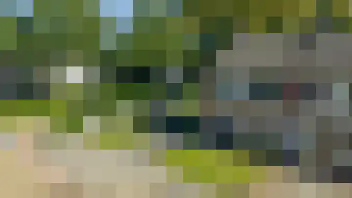 Molenkamp 102 Aalten thumbnail 29