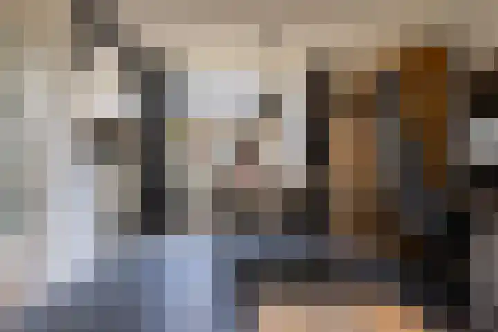 Molenkamp 102 Aalten thumbnail 5