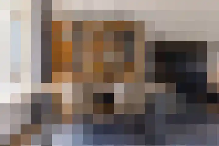 Molenkamp 102 Aalten thumbnail 6