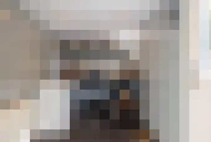 Molenkamp 102 Aalten thumbnail 8