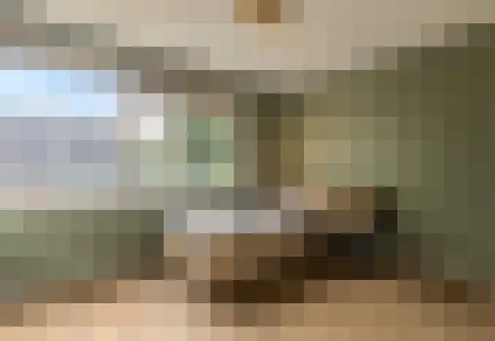 Molenkamp 102 Aalten thumbnail 9