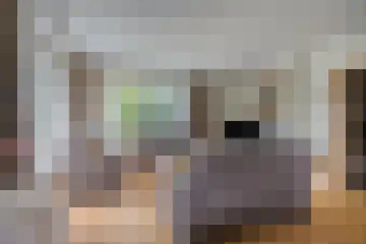 Molenkamp 15 Mierlo thumbnail 15