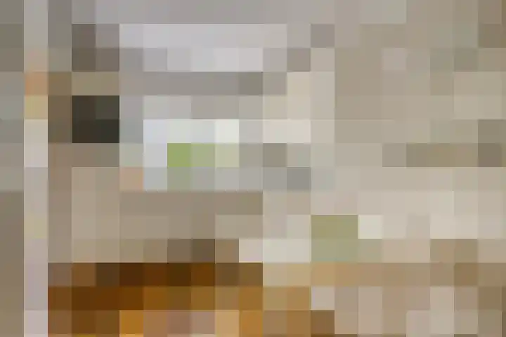 Molenkamp 15 Mierlo thumbnail 17