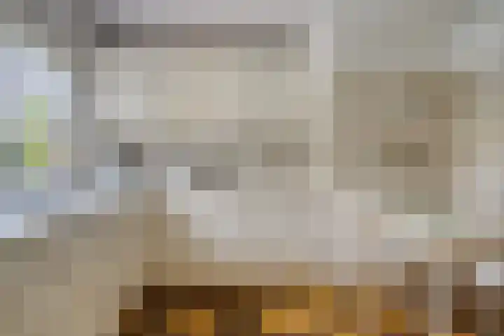 Molenkamp 15 Mierlo thumbnail 18