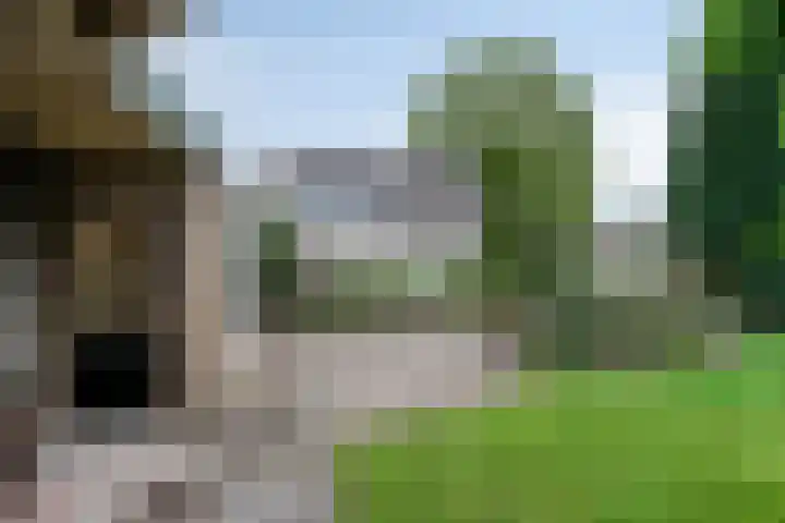 Molenkamp 15 Mierlo thumbnail 20