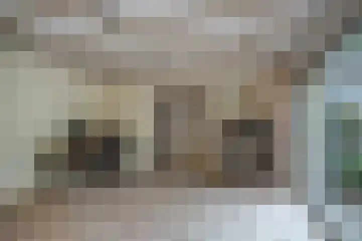 Molenkamp 15 Mierlo thumbnail 22