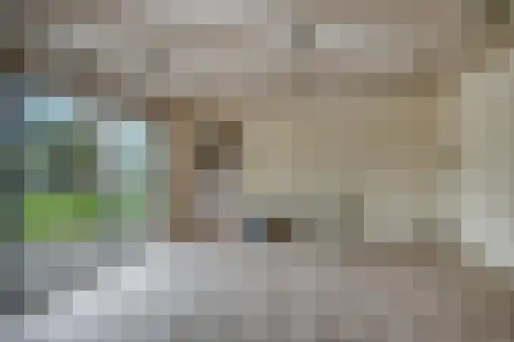 Molenkamp 15 Mierlo thumbnail 23