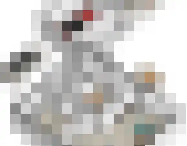 Molenkamp 15 Mierlo thumbnail 25