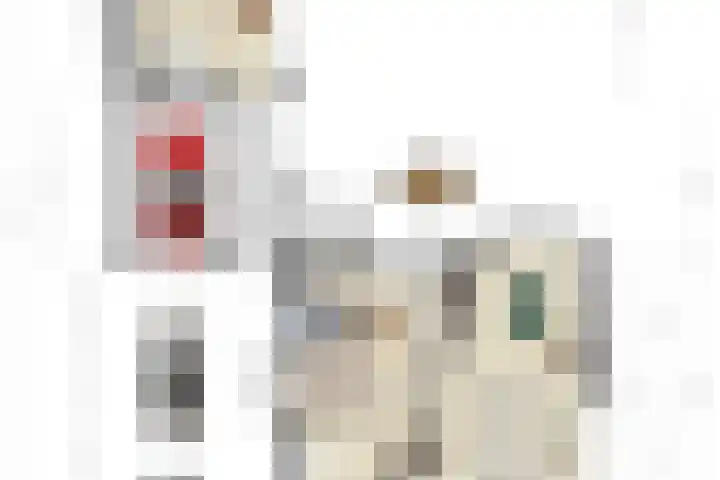 Molenkamp 15 Mierlo thumbnail 26