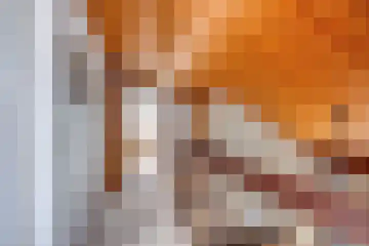 Molenkamp 15 Mierlo thumbnail 28