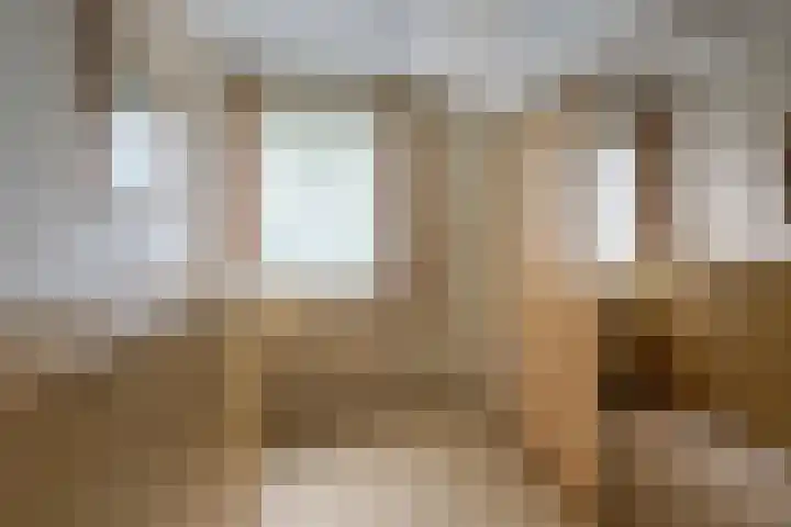 Molenkamp 15 Mierlo thumbnail 35