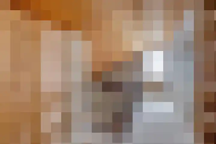 Molenkamp 15 Mierlo thumbnail 36