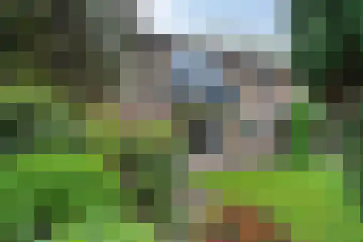 Molenkamp 15 Mierlo thumbnail 42